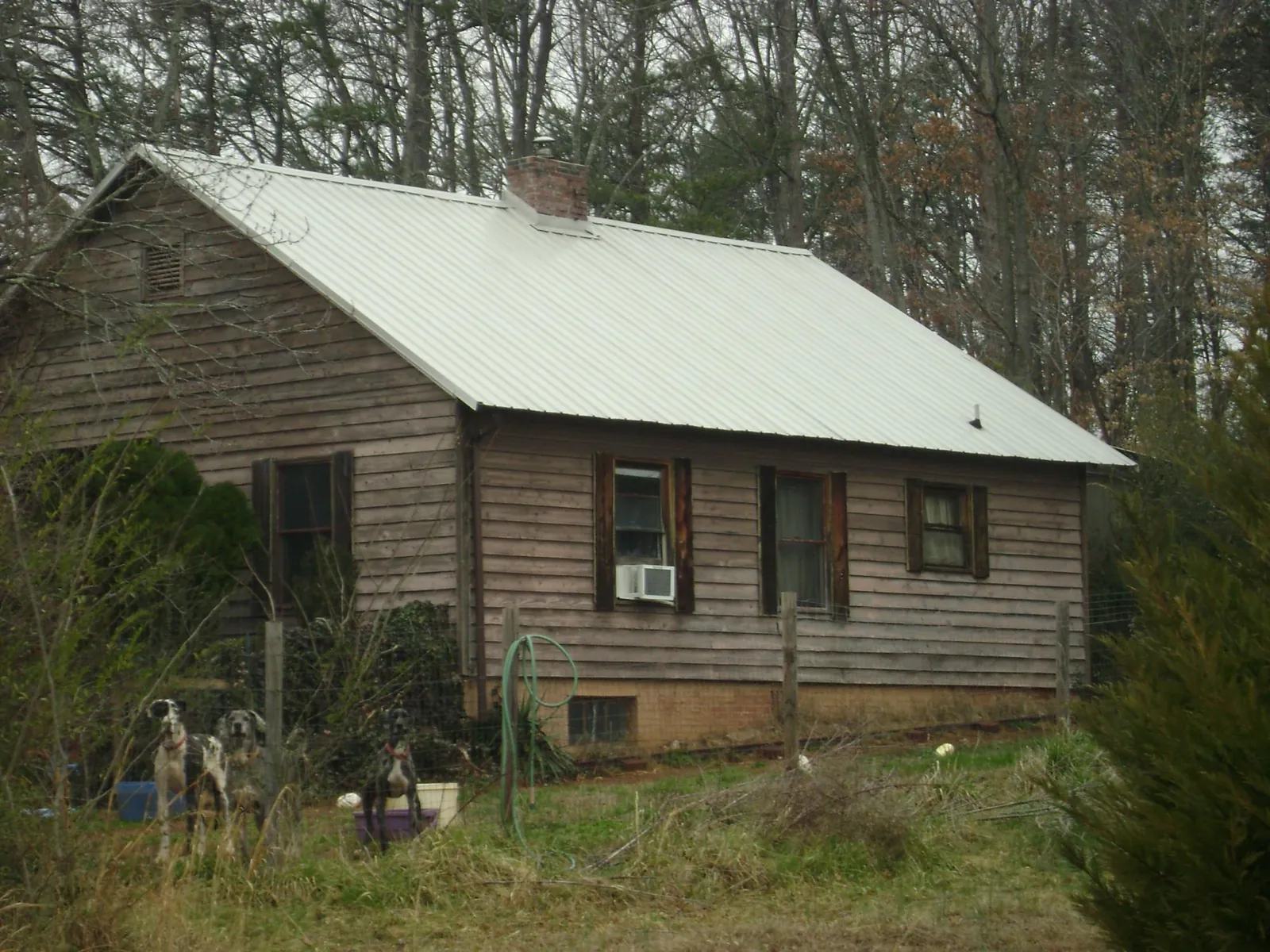 White metal roof on an old wood sided farmhouse, from a Asphalt Shingle Roof Repair job in Chataignier